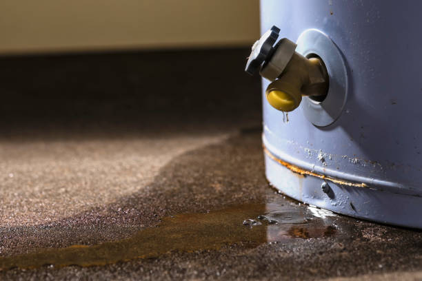 Reliable Weissport East, PA Water damage restoration Solutions