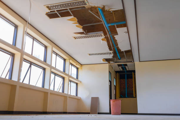 Best Mold removal after water damage  in Weissport East, PA