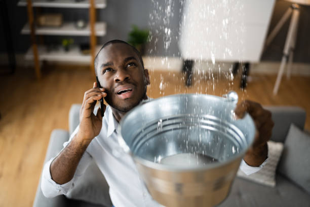 Best Water damage restoration mold remediation  in Weissport East, PA