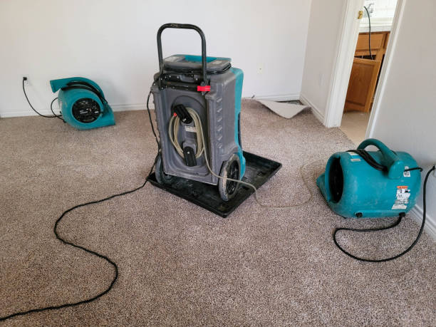 Best Water damage cleanup near me  in Weissport East, PA