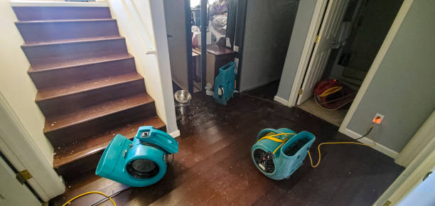 Best Fire Damage Restoration  in Weissport East, PA