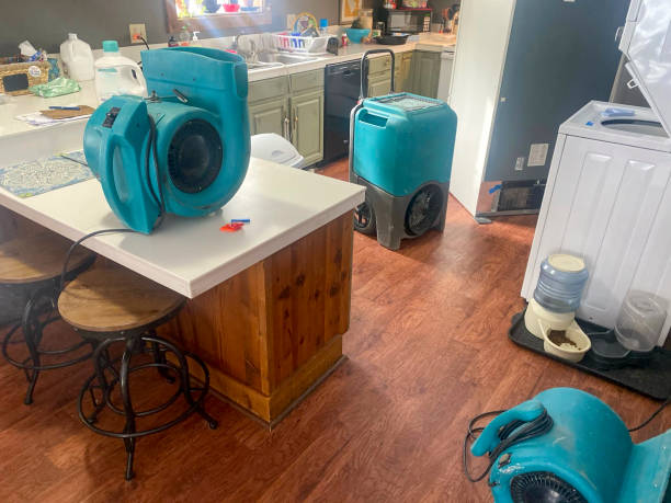 24/7 water damage repair in Weissport East, PA