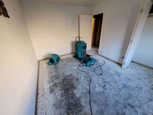 Local water damage restoration in Weissport East, PA