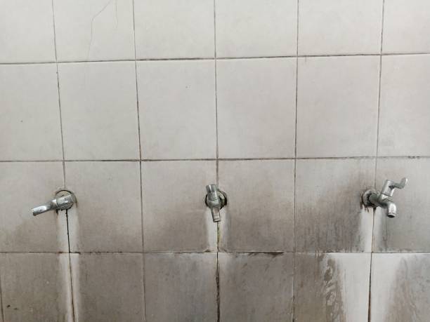 Best Emergency water damage restoration  in Weissport East, PA