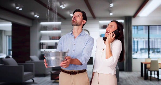 Best Commercial water damage restoration  in Weissport East, PA