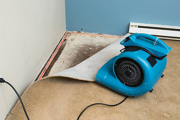 Best Local water damage restoration  in Weissport East, PA
